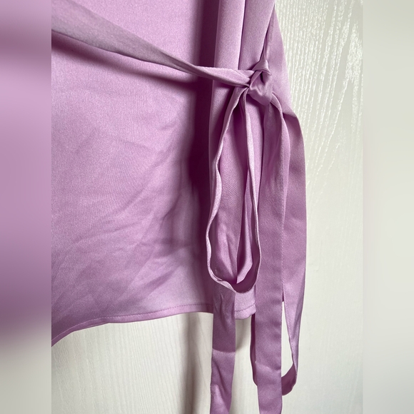 Pink Apron Top- Banana Republic - Picture 5 of 5